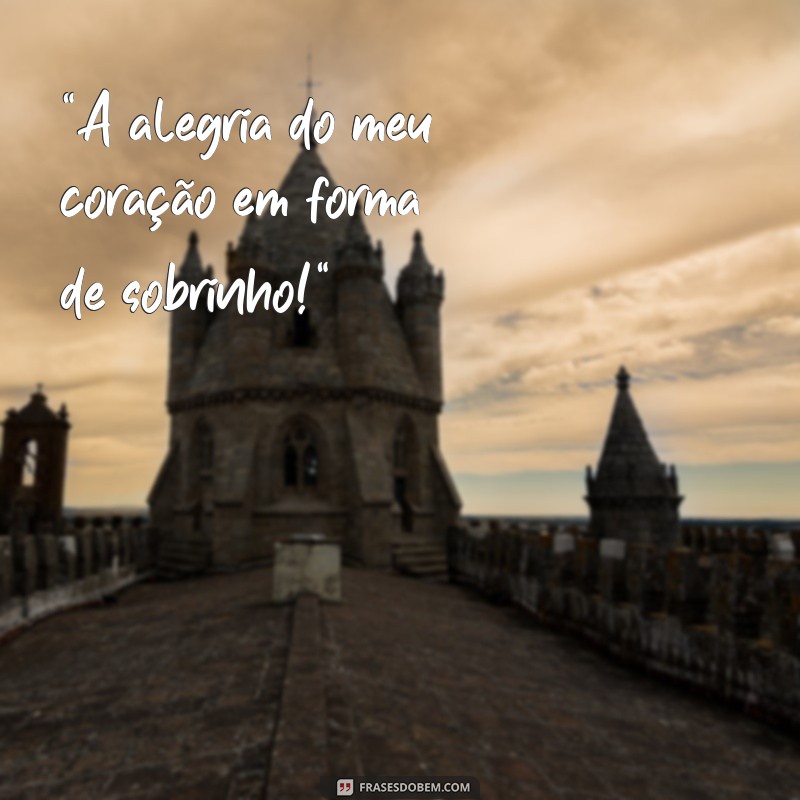 frases para foto do sobrinho 