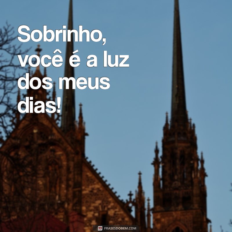 As Melhores Frases para Fotos do Sobrinho: Encante com Palavras 