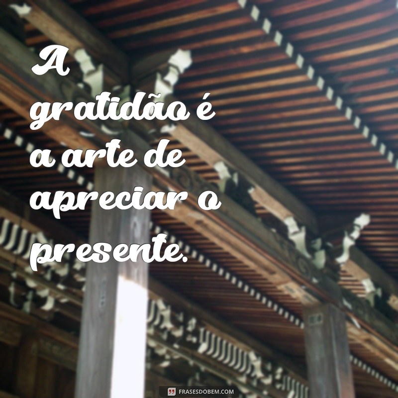 Frases de Gratidão em PNG: Inspire-se com Imagens Motivacionais 