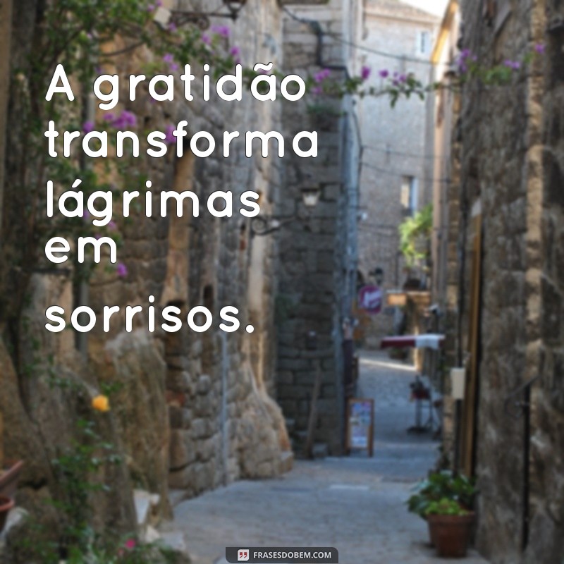 Frases de Gratidão em PNG: Inspire-se com Imagens Motivacionais 