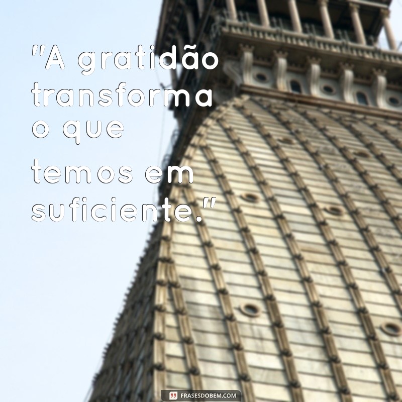 frases gratidão png 