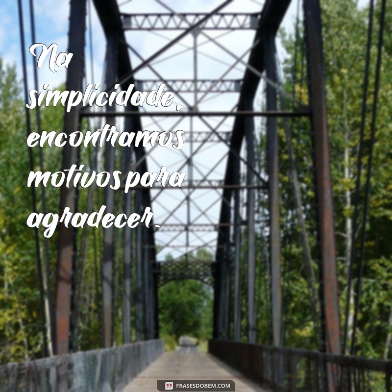 Frases de Gratidão em PNG: Inspire-se com Imagens Motivacionais 