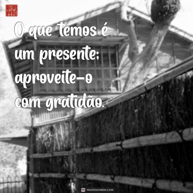 Frases de Gratidão em PNG: Inspire-se com Imagens Motivacionais 