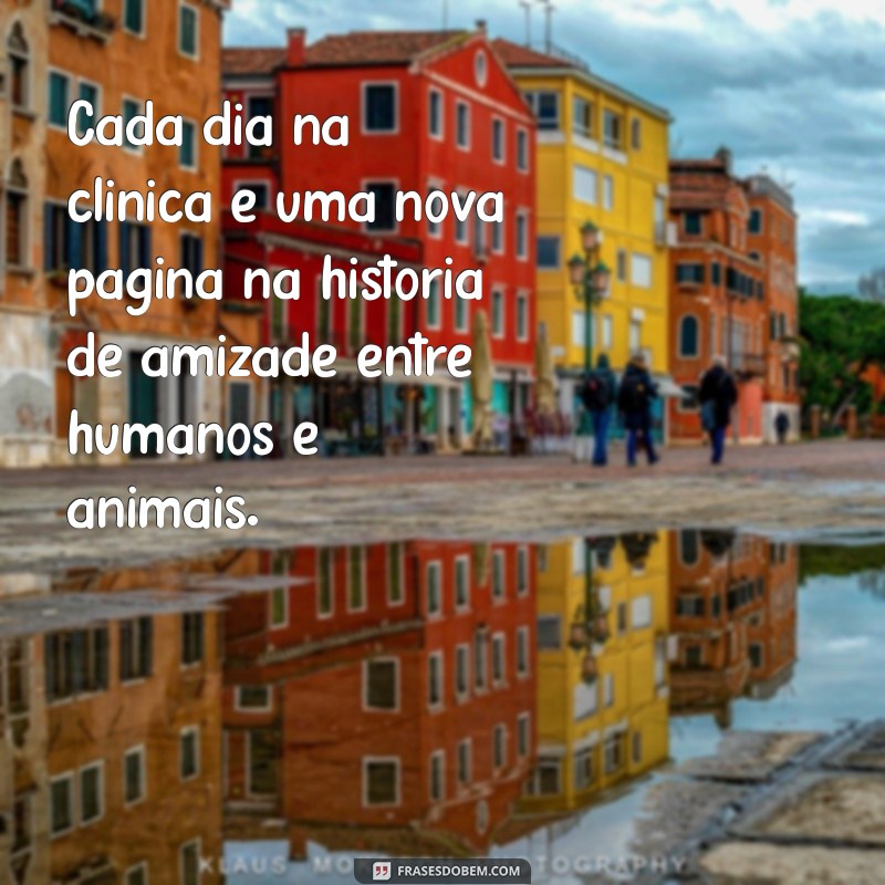 Frases Inspiradoras para Veterinários: O Melhor do Tumblr 