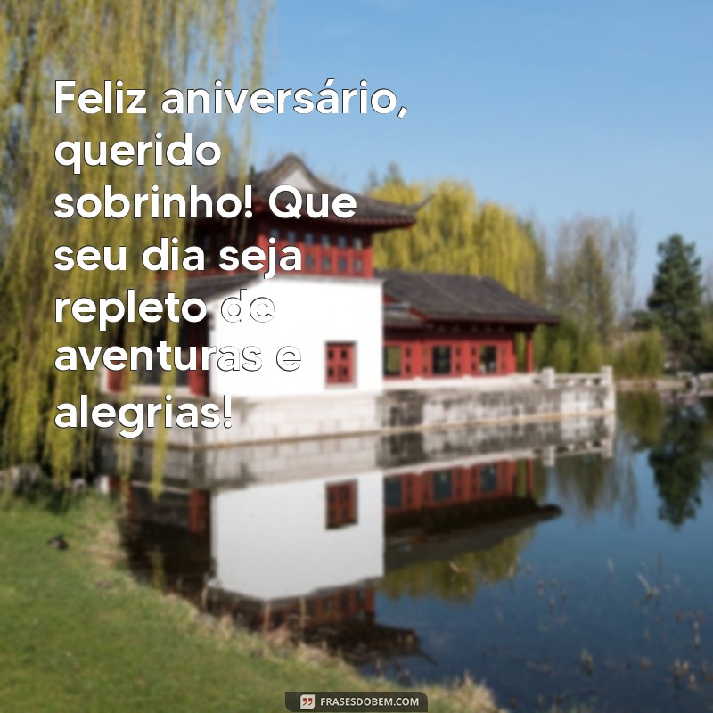 mensagem de aniversário para um sobrinho Feliz aniversário, querido sobrinho! Que seu dia seja repleto de aventuras e alegrias!