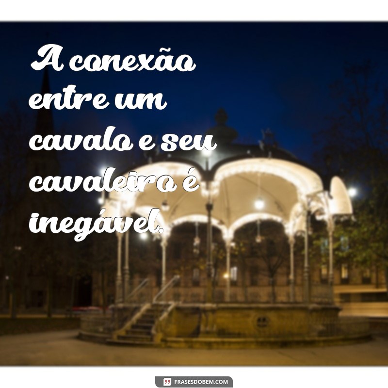 Descubra as melhores frases de cavalo para arrasar no Instagram! 