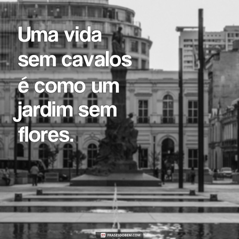 frases de cavalo instagram Uma vida sem cavalos é como um jardim sem flores.