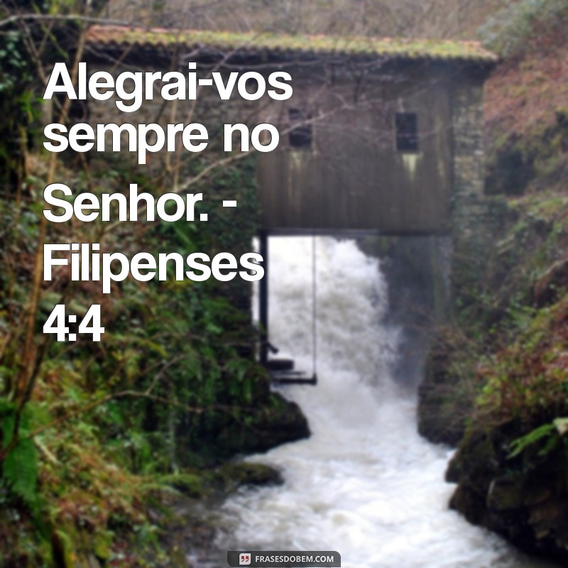 Descubra Inspirações Poderosas: As Melhores Citações Bíblicas para Refletir e Motivar 