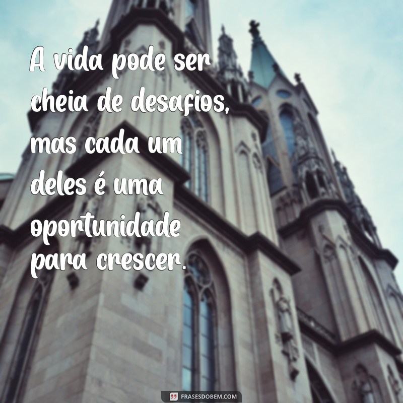 mensagem de resiliência na vida A vida pode ser cheia de desafios, mas cada um deles é uma oportunidade para crescer.