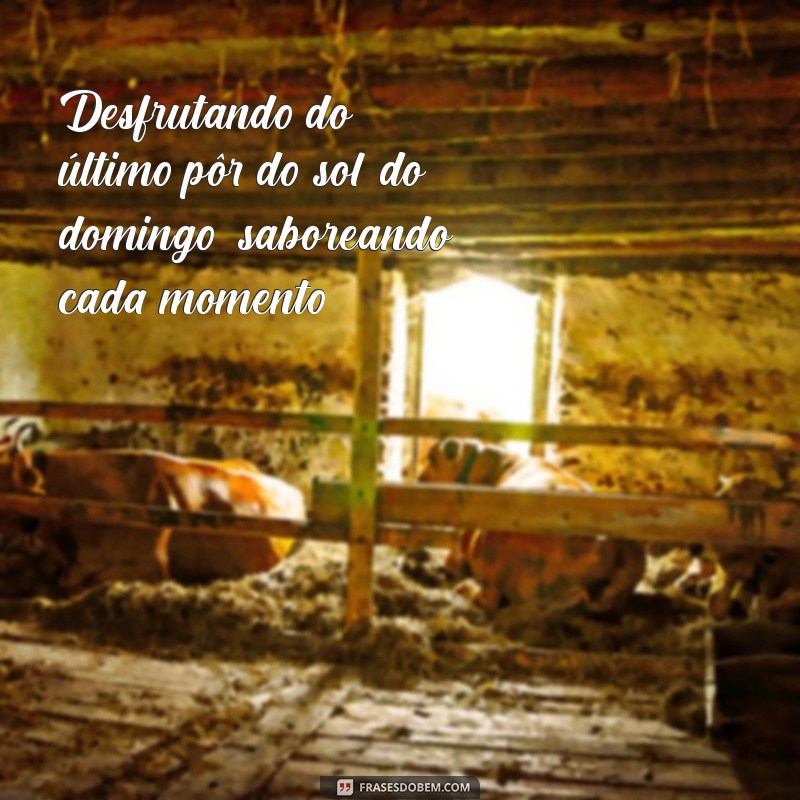 Frases Inspiradoras para Encerrar o Domingo com Reflexão e Positividade 