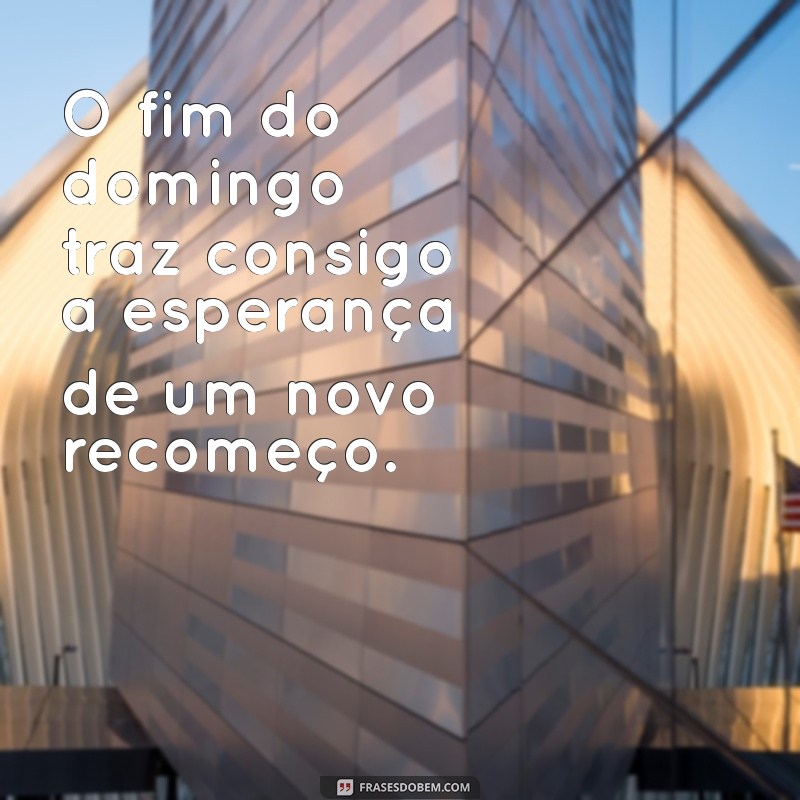 Frases Inspiradoras para Encerrar o Domingo com Reflexão e Positividade 