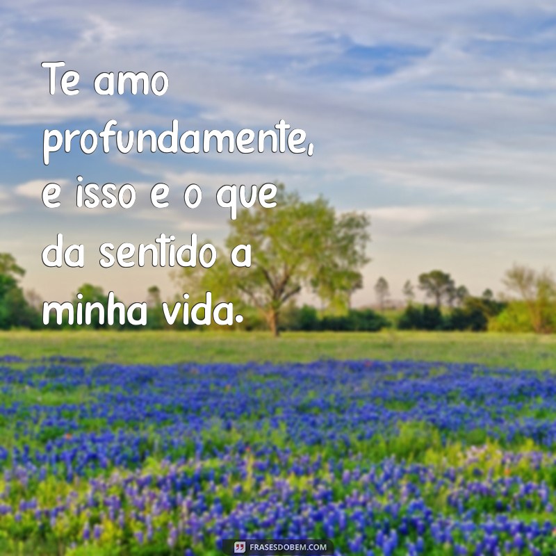 As Melhores Frases de Te Amo para Declarar Seu Amor 