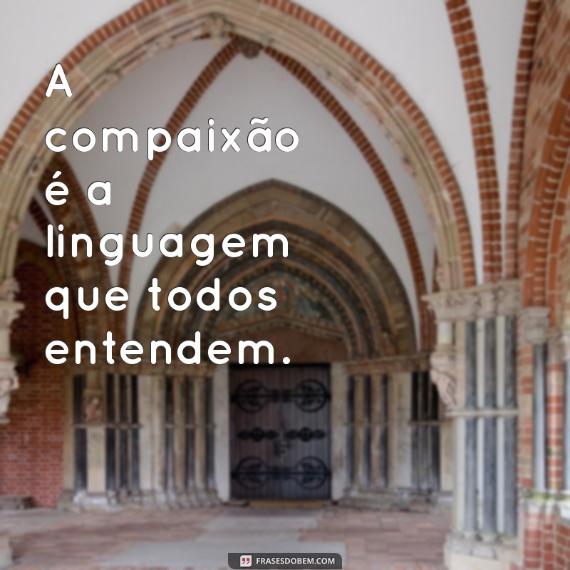 Frases Inspiradoras de Sábios: Reflexões para Transformar sua Vida 