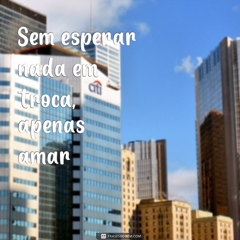 Descubra as mais belas frases e poemas de amizade para expressar todo seu carinho