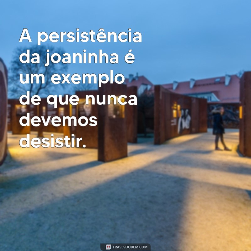 Encante-se com as Melhores Frases de Joaninha para Inspirar e Divertir 