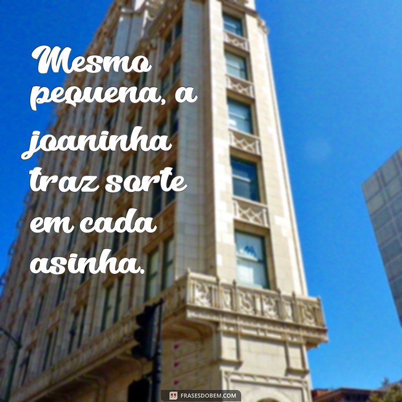 frases de joaninha Mesmo pequena, a joaninha traz sorte em cada asinha.