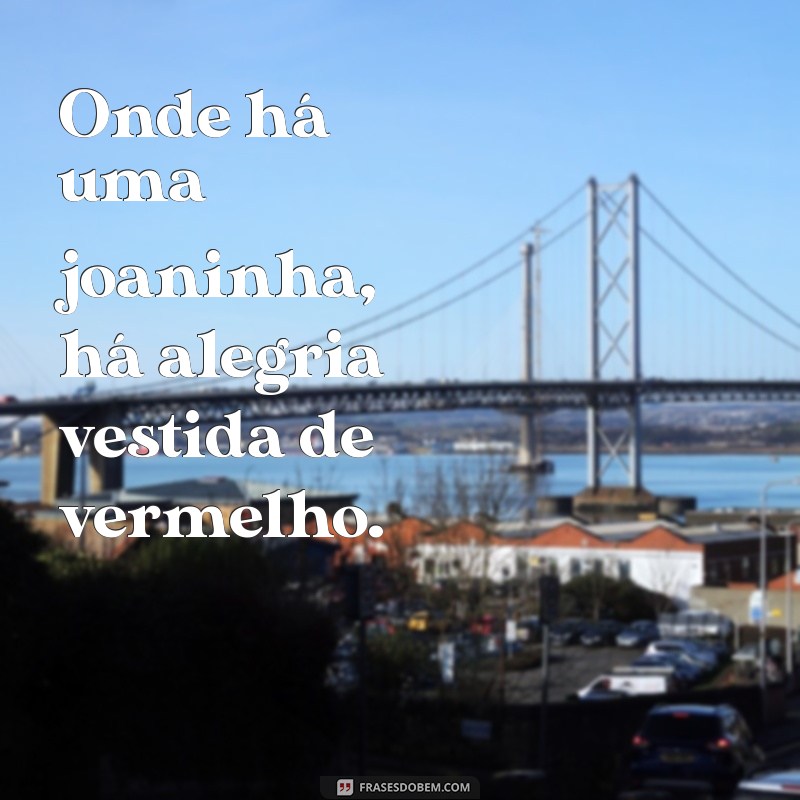 Encante-se com as Melhores Frases de Joaninha para Inspirar e Divertir 