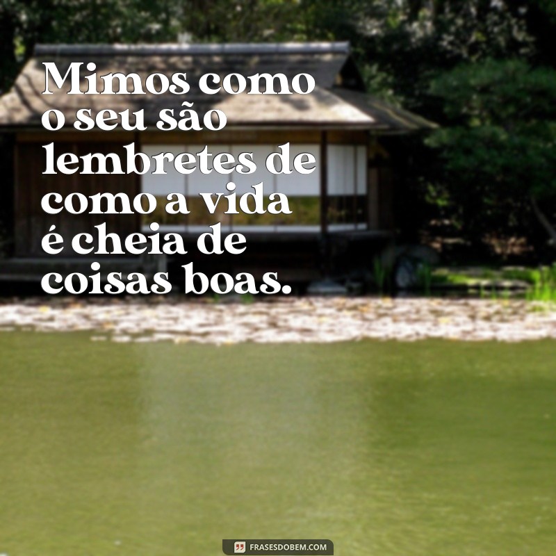 Frases Criativas para Agradecer Mimos Recebidos com Carinho 