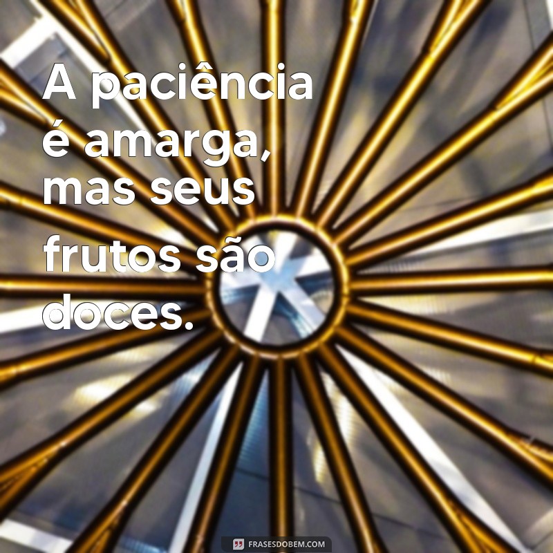 Frases de Sabedoria Curtas: Inspirações para o Dia a Dia 