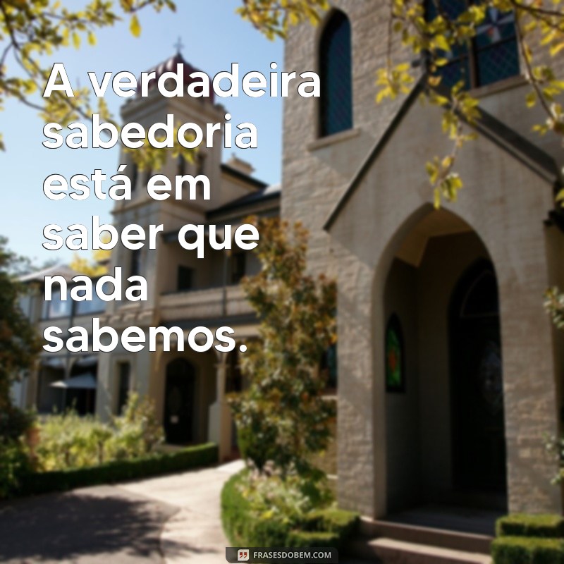 Frases de Sabedoria Curtas: Inspirações para o Dia a Dia 