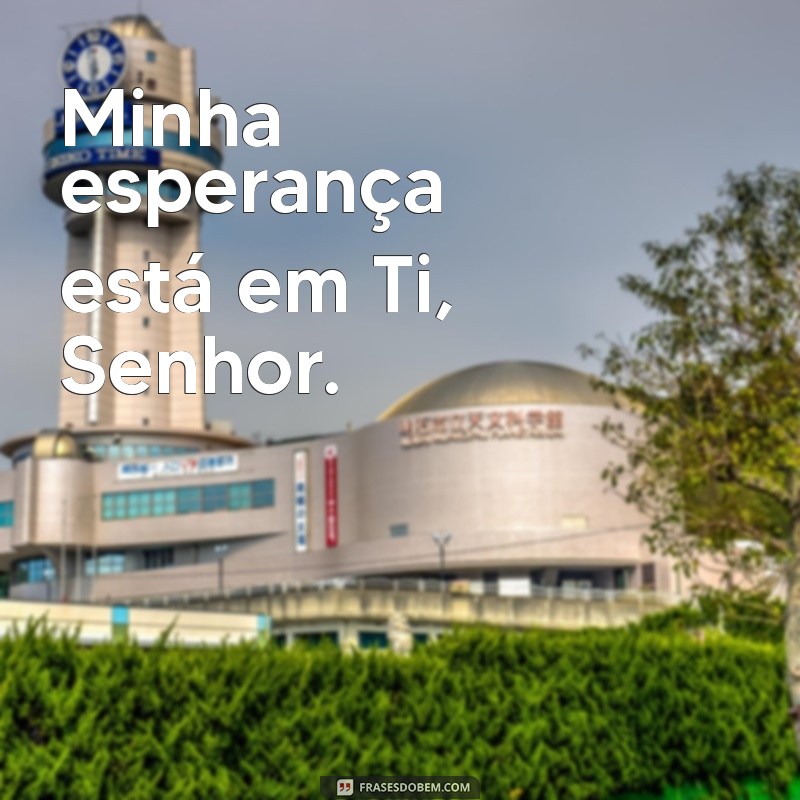 Frases Evangélicas Inspiradoras para Acompanhar Suas Fotos 