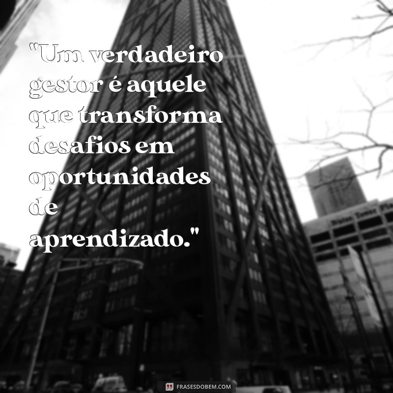 frases para gestor 