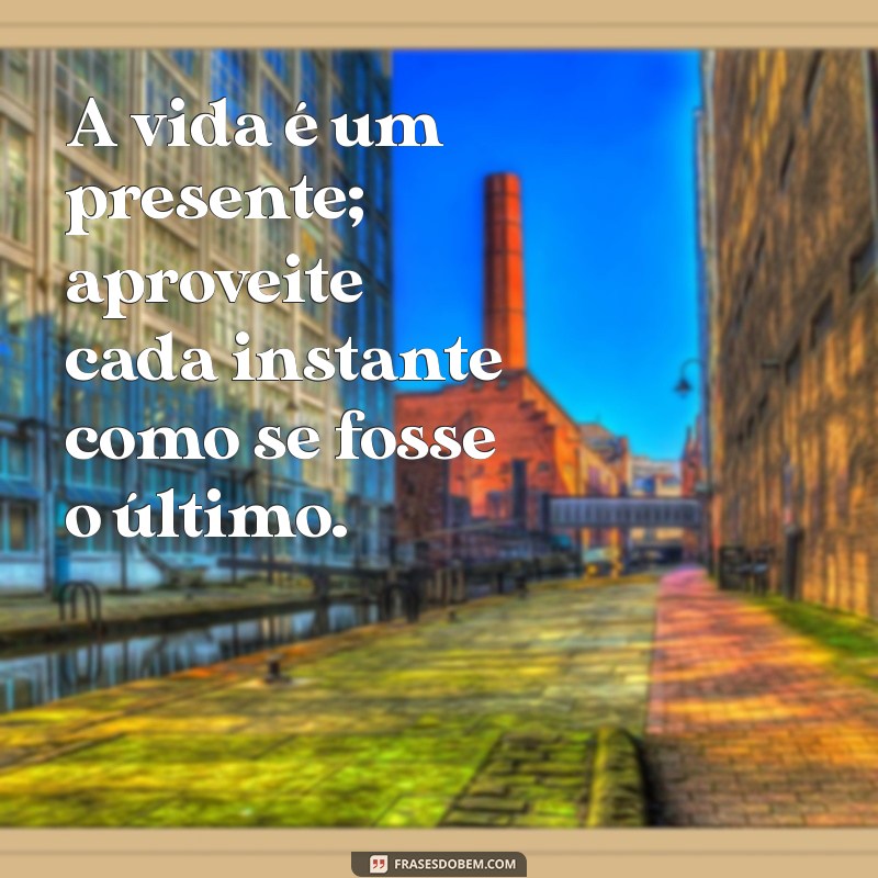 frases sobre curtir a vida A vida é um presente; aproveite cada instante como se fosse o último.