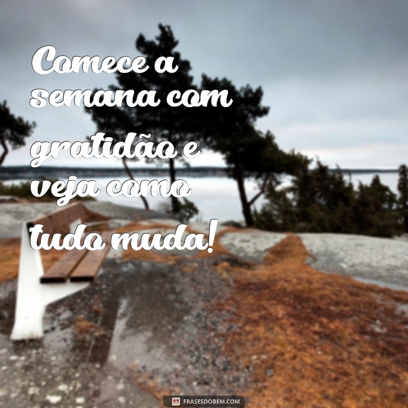 Frases Inspiradoras para Começar a Semana com Motivação 