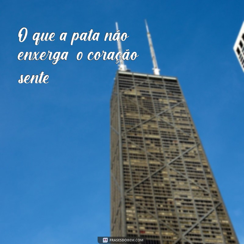 frases pata O que a pata não enxerga, o coração sente.