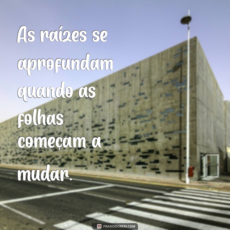 Frases Inspiradoras sobre Mudanças: Transforme sua Vida com Palavras 