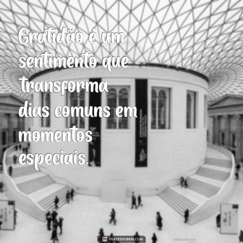 gratidão é um sentimento Gratidão é um sentimento que transforma dias comuns em momentos especiais.