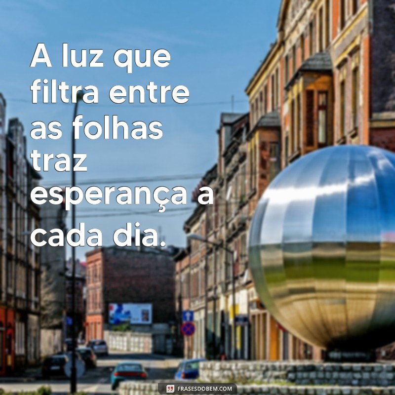 Descubra Inspirações Mágicas: Frases Encantadoras sobre Florestas 