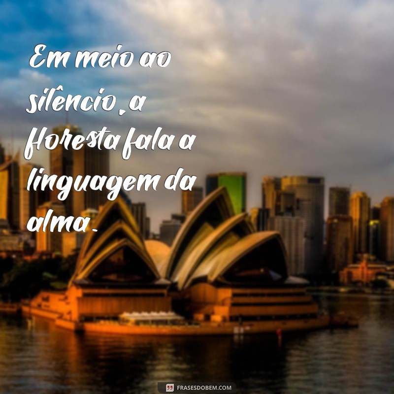 Descubra Inspirações Mágicas: Frases Encantadoras sobre Florestas 