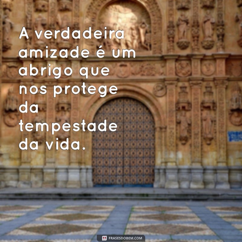 Frases Sábias e Sinceras sobre Amizade para Inspirar sua Conexão 