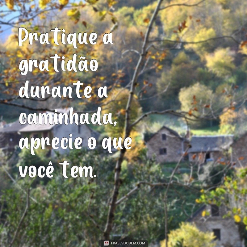 Descubra as melhores frases para inspirar sua caminhada rumo ao sucesso 