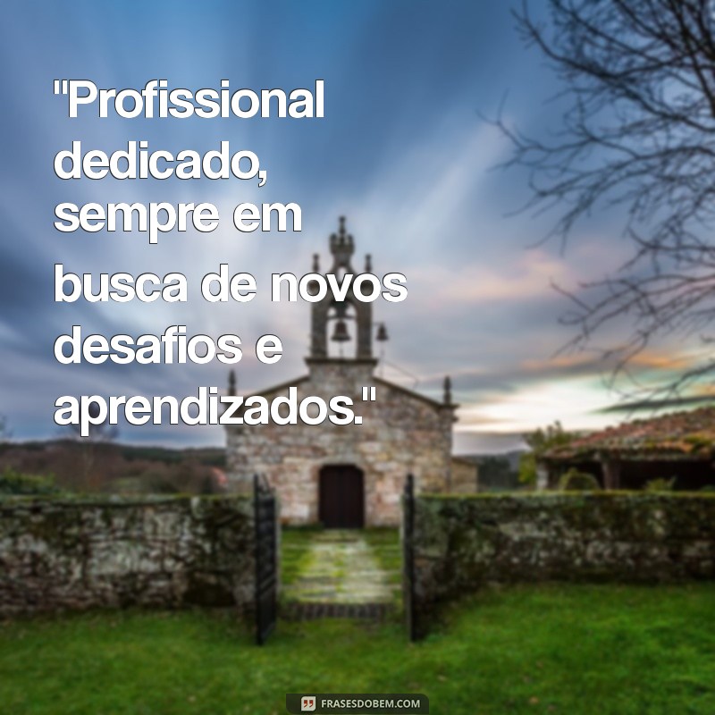 frases para curriculo 