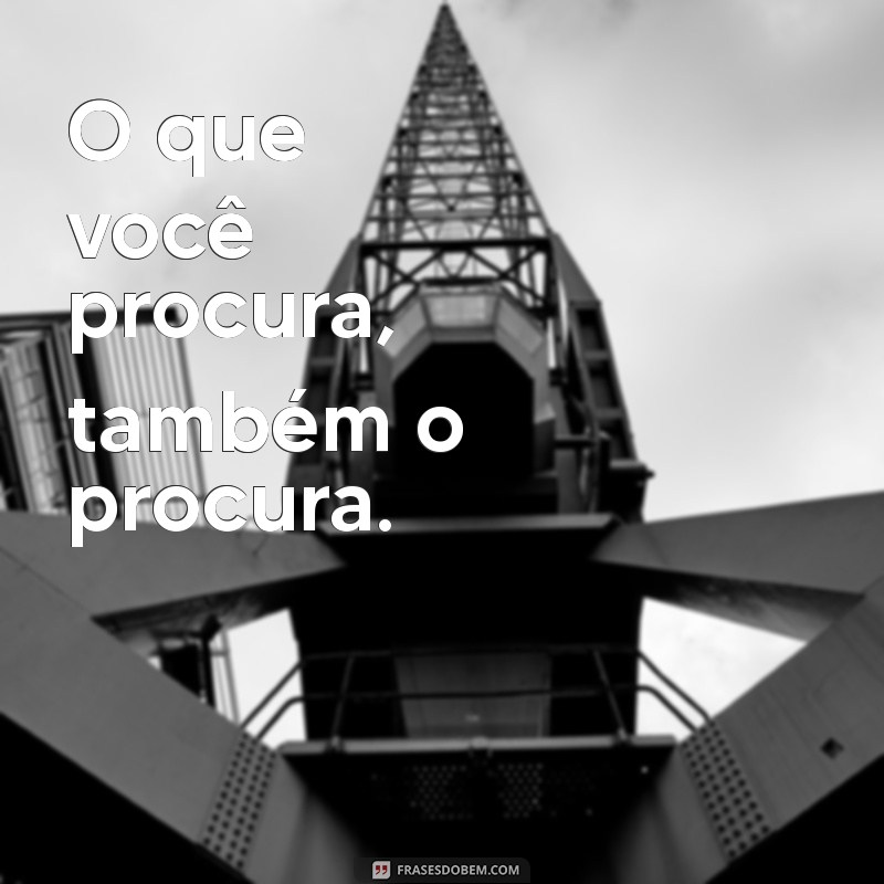 Frases de Positividade Curtas para Inspirar Seu Dia 