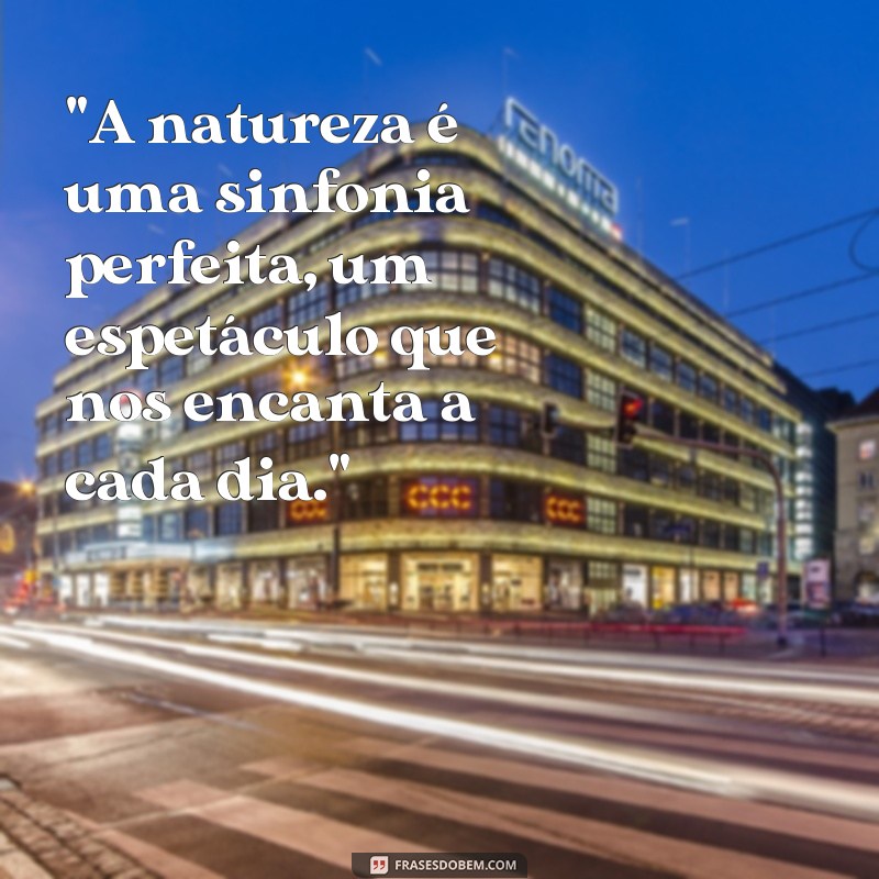 frases de contemplação a natureza 