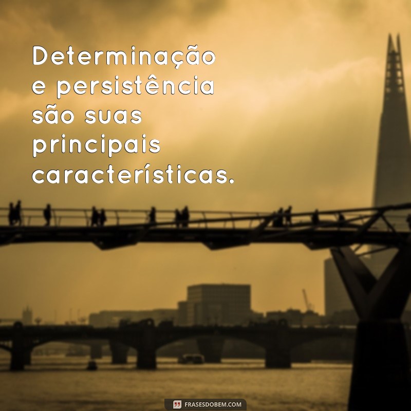 Descubra as melhores frases para biografia de homem e inspire-se! 