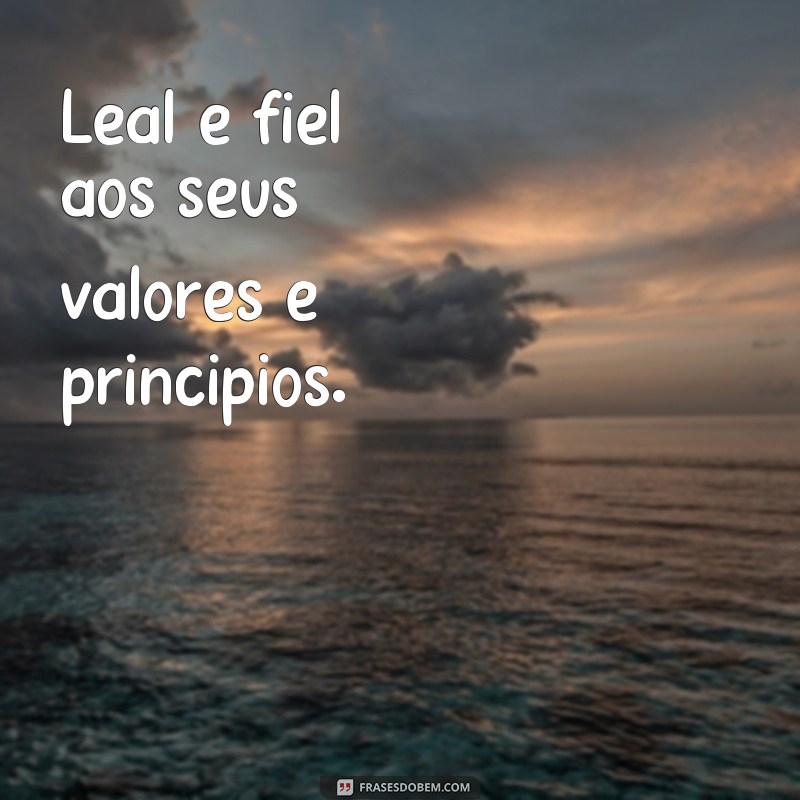 Descubra as melhores frases para biografia de homem e inspire-se! 