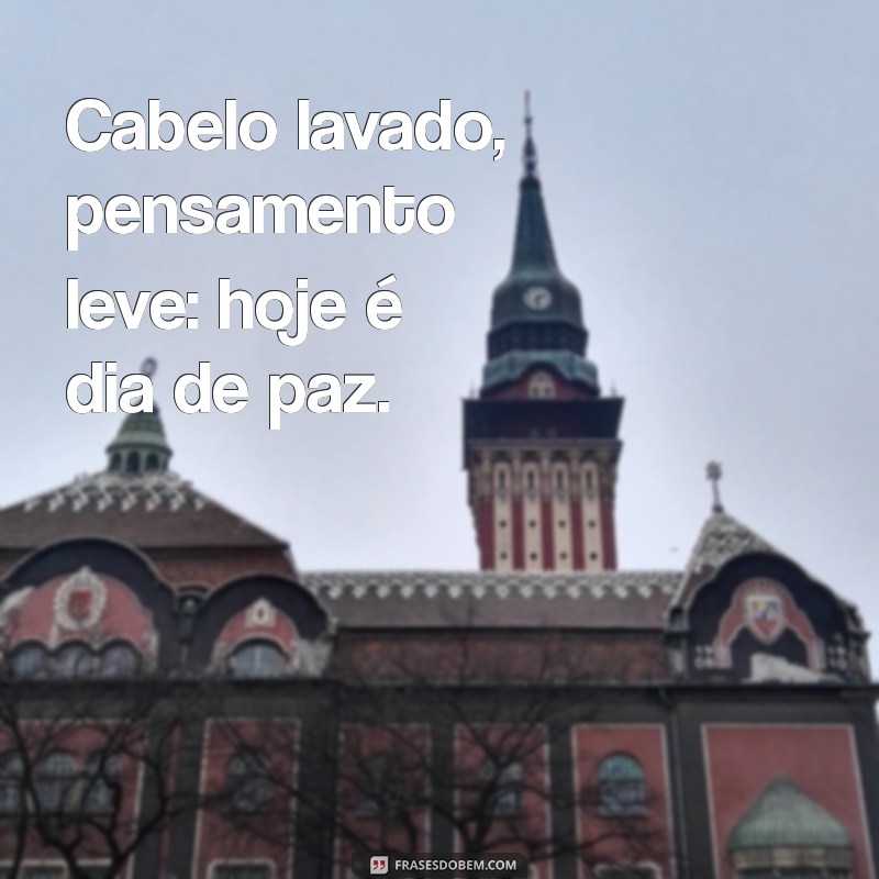 frases cabelo lavado não quer guerra com ninguém Cabelo lavado, pensamento leve: hoje é dia de paz.