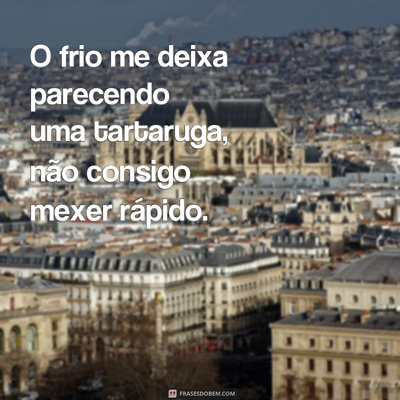 As melhores frases memes de frio para aquecer seu humor 