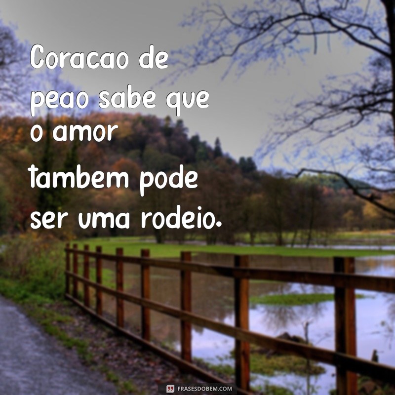 As Melhores Frases Sertanejas para Encantar seu Coração 