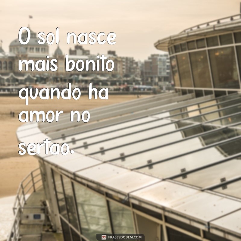 As Melhores Frases Sertanejas para Encantar seu Coração 