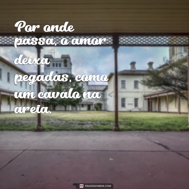 As Melhores Frases Sertanejas para Encantar seu Coração 