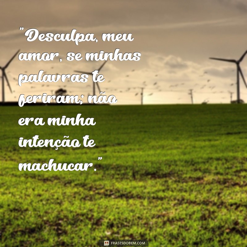 frases desculpa amor se te magoei 