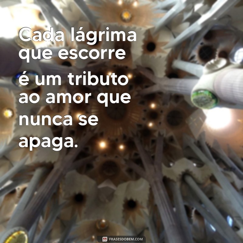 Mensagens de Finados: Como Lidar com a Saudade e Homenagear Entes Queridos 