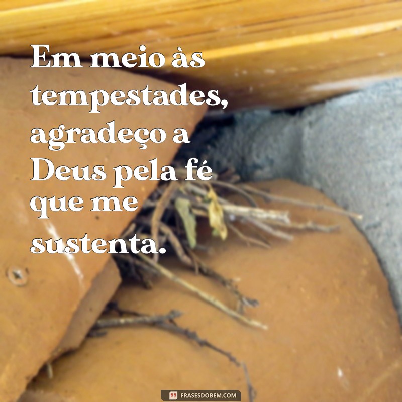 30 Frases Inspiradoras de Gratidão a Deus para Agradecer Todos os Dias 