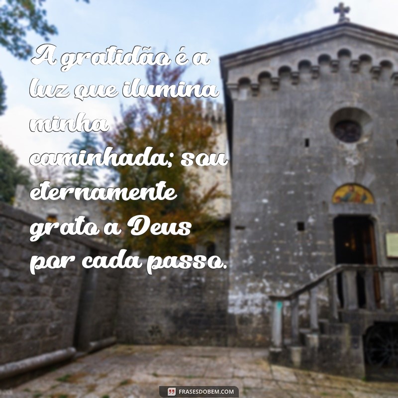 frases gratidão a deus A gratidão é a luz que ilumina minha caminhada; sou eternamente grato a Deus por cada passo.