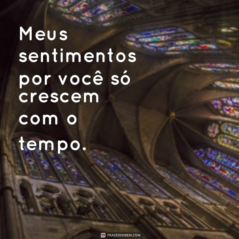 Descubra as melhores frases de sentimentos verdadeiros para expressar o que você realmente sente 